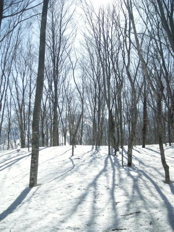 Komakusa Hakuba